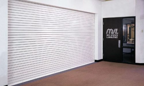 Storefront Door